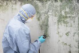 Mold Removal for HVAC Installations in Nolensville, TN